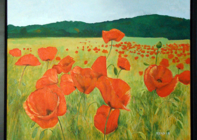 Field of Poppies, 16" x 20", O/C #$300.00